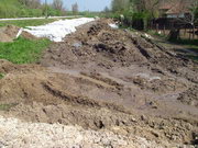 2006